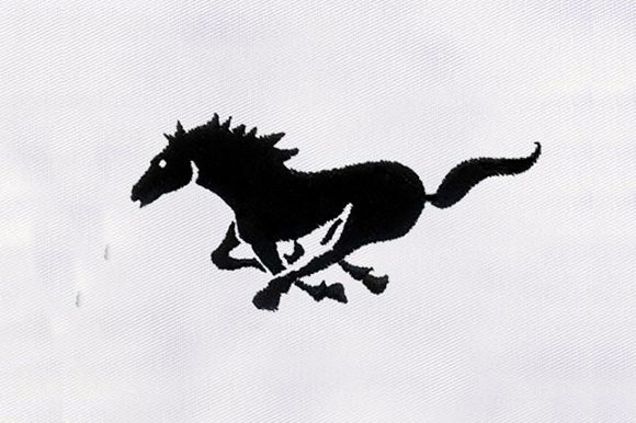 Black Horse Design: A Premium Embroidery Review